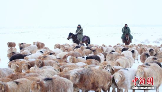 12月10日，新疆阿勒泰地区哈萨克族牧民在转场途中。近日，阿勒泰地区牧民开始了今年最后一次牲畜大转场，百万头牲畜冒着风雪陆续转入冬牧场。巴合提别克 摄